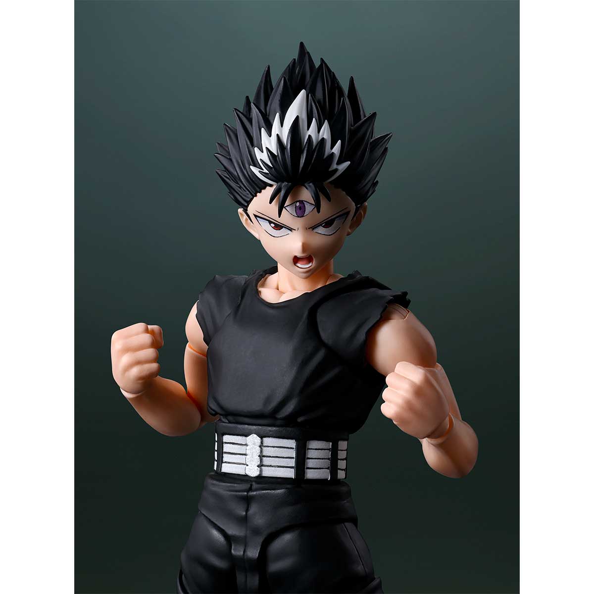 S.H.Figuarts HIEI TAMASHII NATIONS