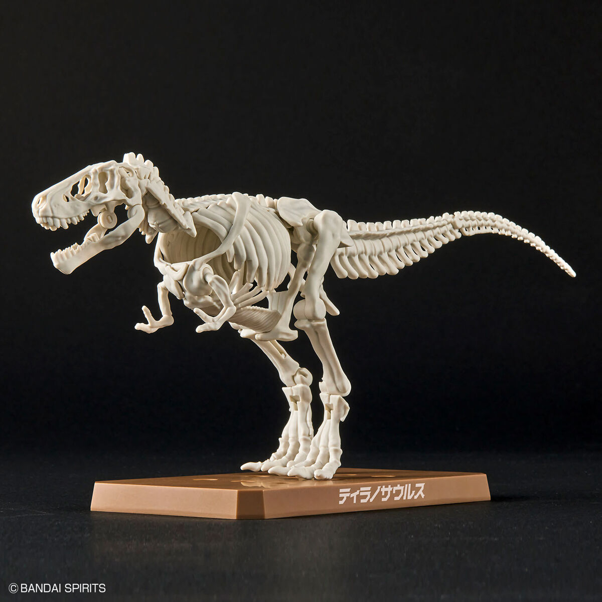 MODEL KIT PLANNOSAURUS TYRANNOSAURUS BANDAI HOBBY