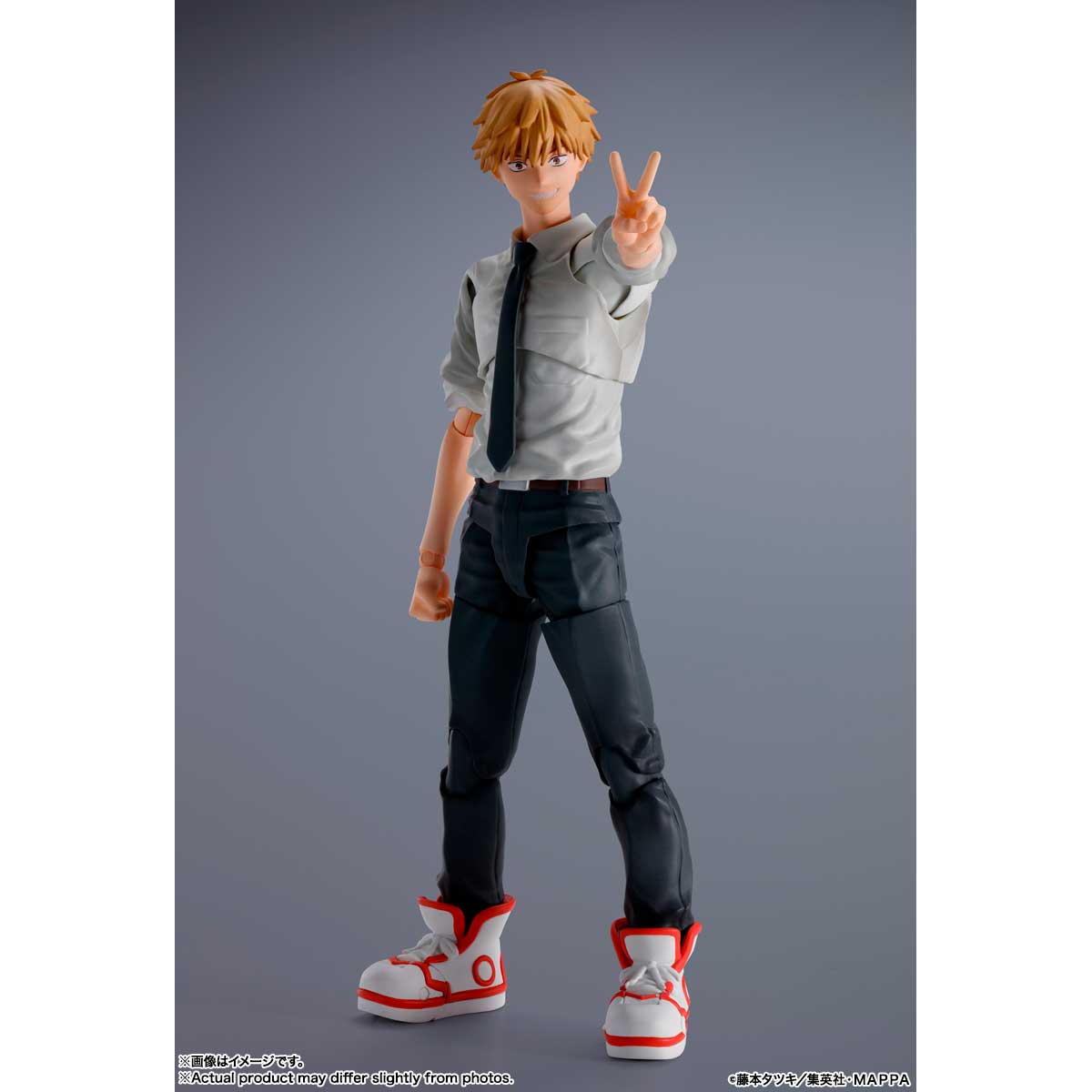S.H.FIGUARTS DENJI TAMASHII NATIONS