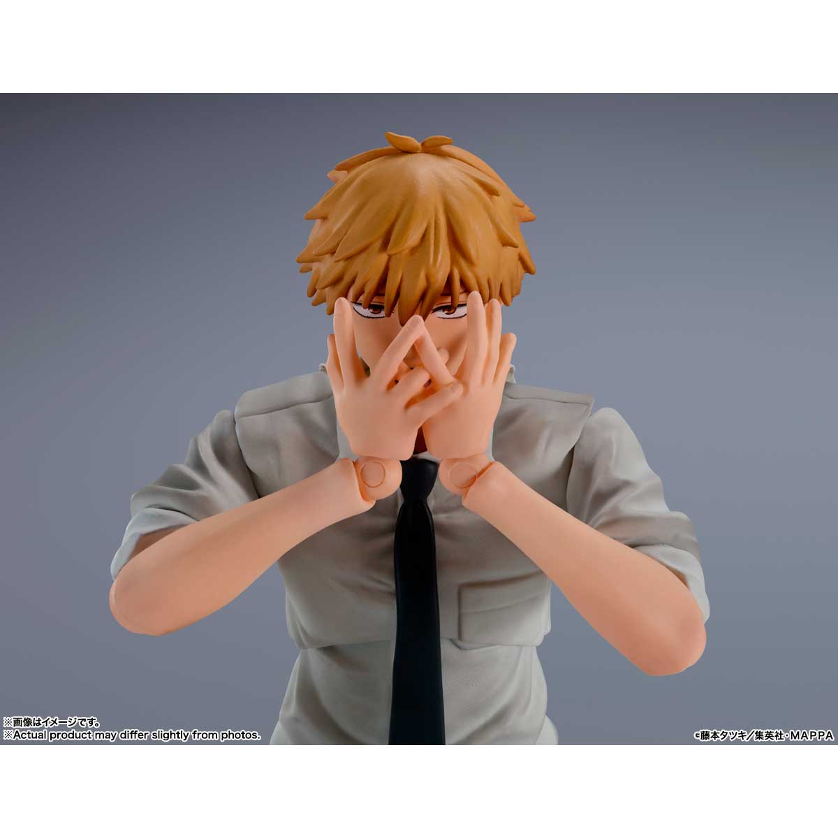 S.H.FIGUARTS DENJI TAMASHII NATIONS