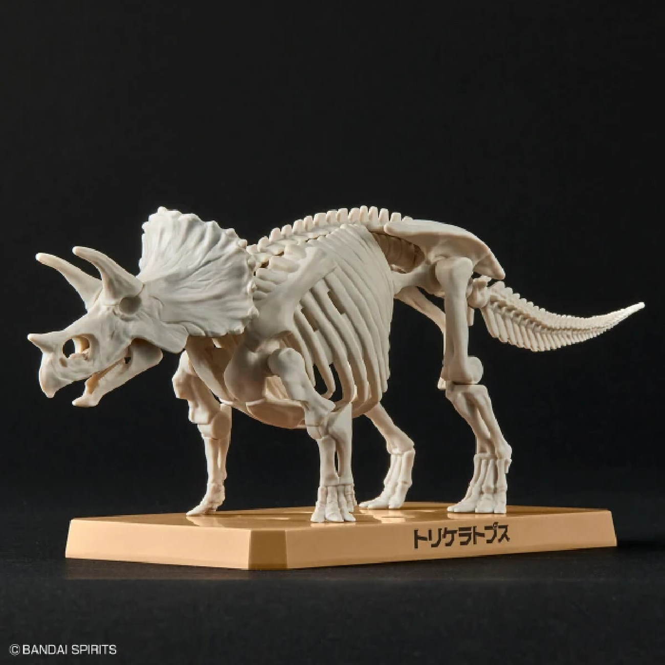 MODEL KIT PLANNOSAURUS TRICERATOPS BANDAI HOBBY