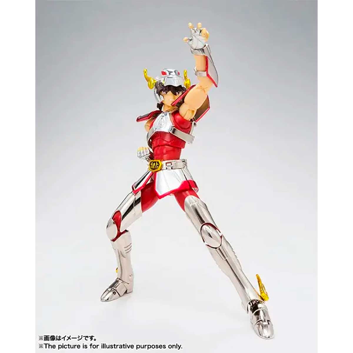 SAINT CLOTH MYTH SAINT CLOTH MYTH PEGASUS SEIYA [FIRST BRONZE CLOTH] <REVIVAL VER.> TAMASHII NATION