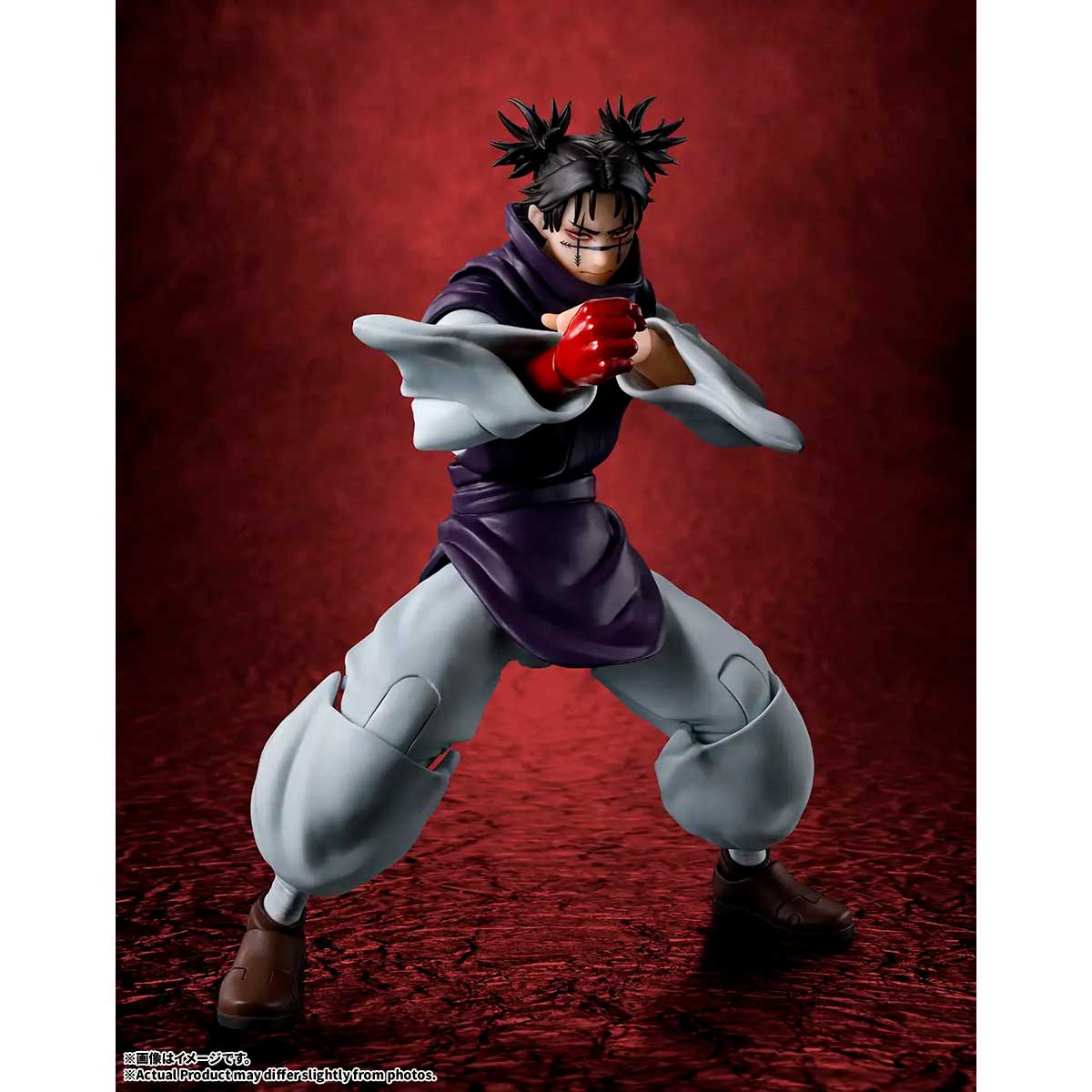 S.H.FIGUARTS CHOSO TAMASHII NATIONS