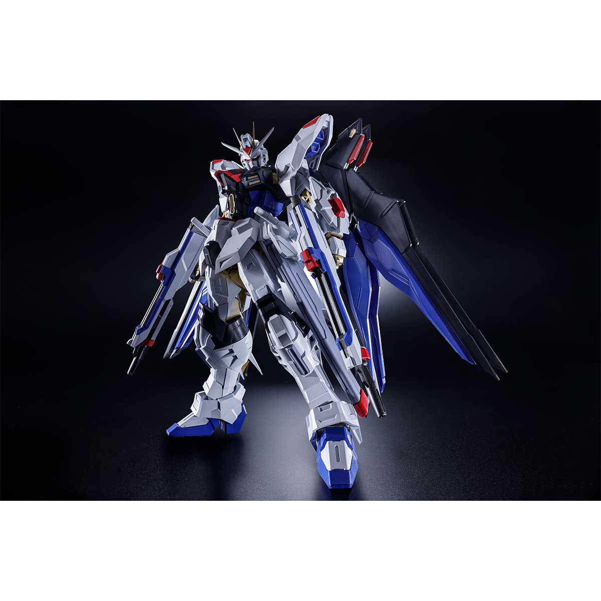 ABSOLUTE ACT STRIKE FREEDOM  GUNDAM TAMASHII NATIONS