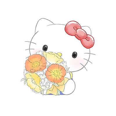 MOFAMOFY HELLO KITTY SANRIO