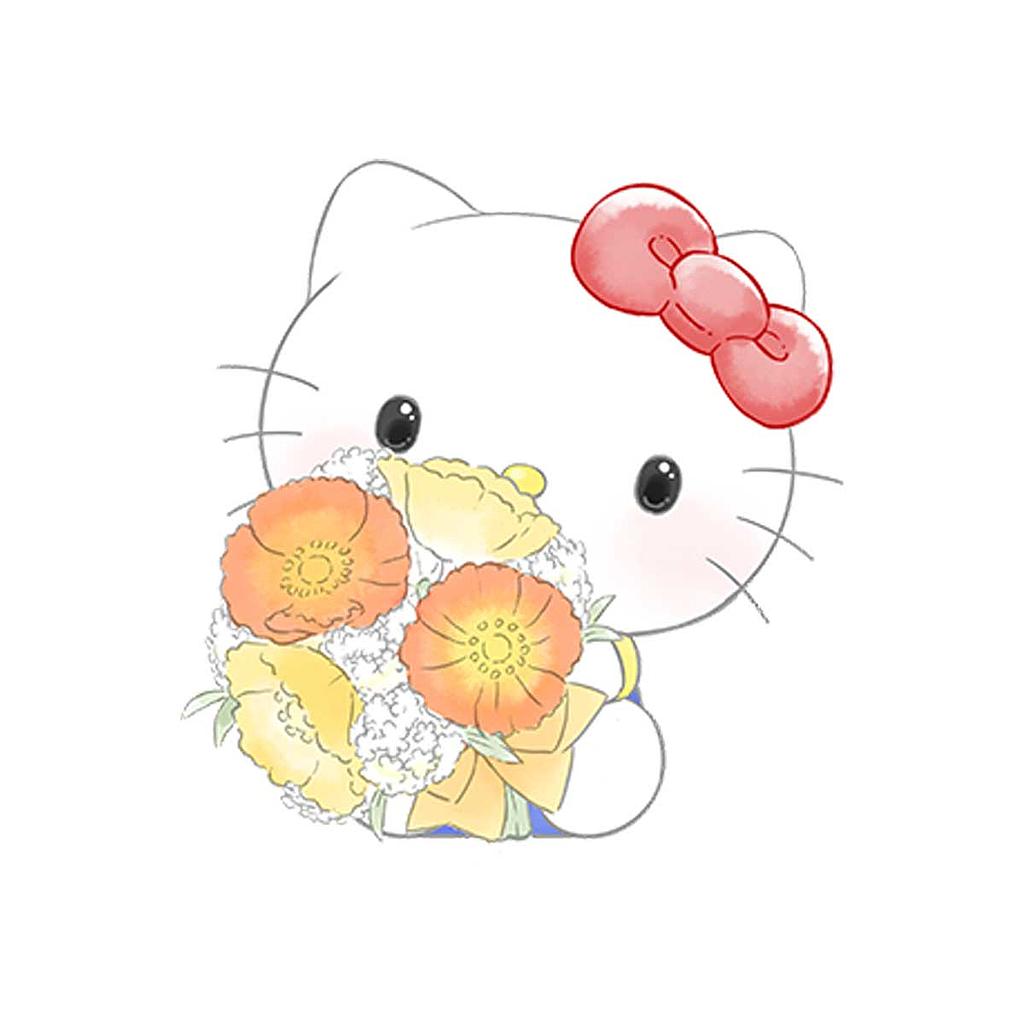 MOFAMOFY HELLO KITTY SANRIO