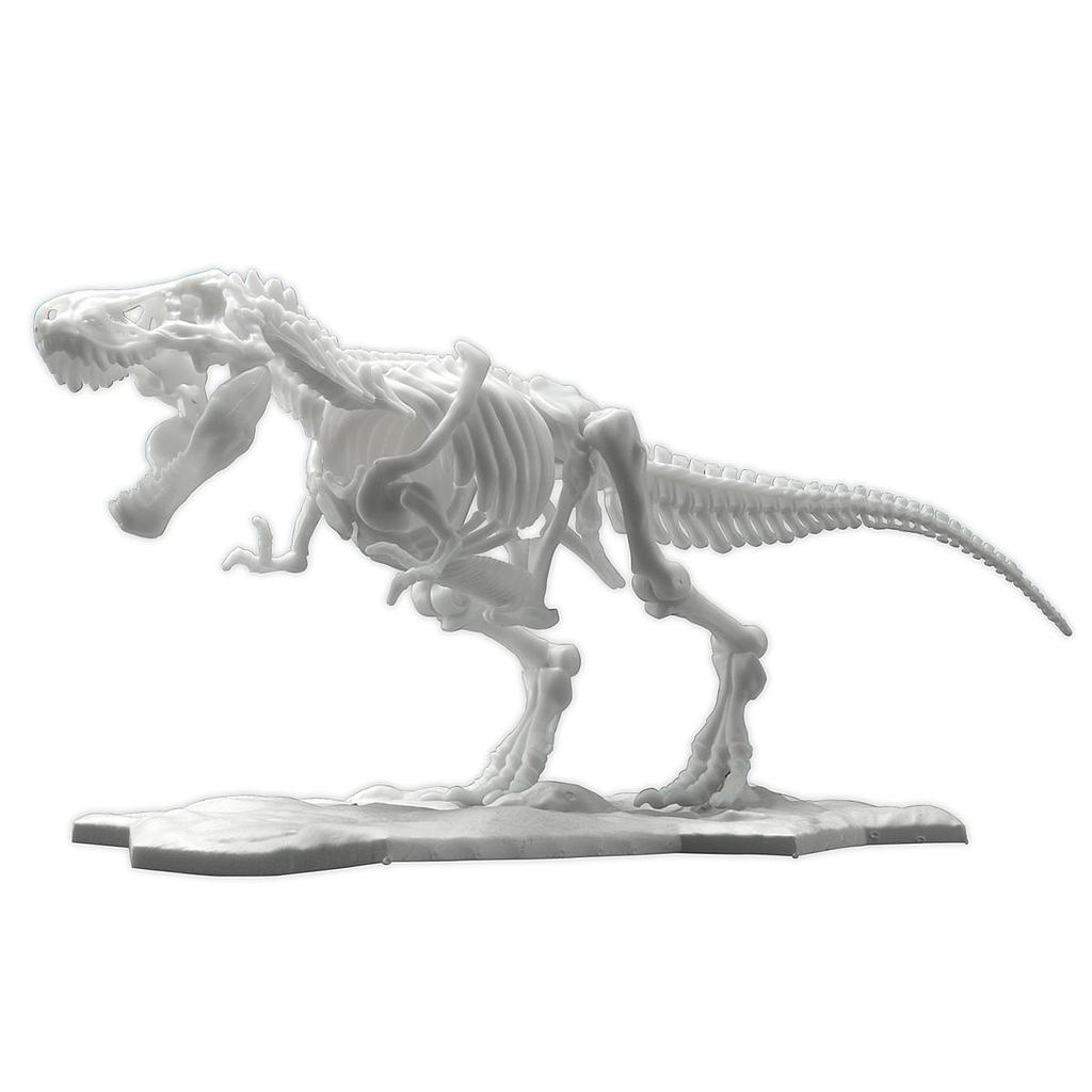 MODEL KIT DINOSAUR LIMEX SKELETON TYRANNOSAURUS BANDAI HOBBY