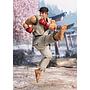 FIGURA RYU OUTFIT 2 STREET FIGHTER TAMASHII NATIONS