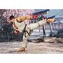 FIGURA RYU OUTFIT 2 STREET FIGHTER TAMASHII NATIONS