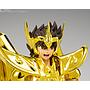 Sagittarius Seiya -Inheritor Of The Gold Cloth- SAINT CLOTH MYTH EX Tamashii Nations