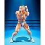 S.H.FIGUARTS KINNIKUMAN-PERFECT ORIGIN ARC- TAMASHII NATION