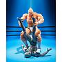 S.H.FIGUARTS KINNIKUMAN-PERFECT ORIGIN ARC- TAMASHII NATION