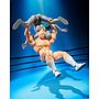 S.H.FIGUARTS KINNIKUMAN-PERFECT ORIGIN ARC- TAMASHII NATION