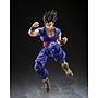 Broly Super Hero S.H.Figuarts Tamashii Nations