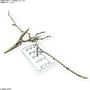 PLANNOSAURUS PTERANODON BANDAI HOBBY