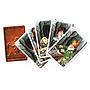 JUEGOS DE MESA SABOTEUR 2 