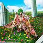 SAINT CLOTH MYTH EX ANDROMEDA SHUN GOD CLOTH SAINT SEIYA TAMASHII NATIONS