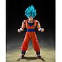 S.H.FIGUARTS SUPER SAIYAN GOD SUPER SAIYAN SON GOKU BLUE POWER TRANSCENDING LIMITS TAMASHII NATIONS