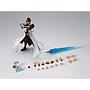 S.H.FIGUARTS SETO KAIBA TAMASHII NATIONS