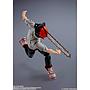 S.H.FIGUARTS DENJI TAMASHII NATIONS
