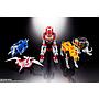 SOUL OF CHOGOKIN GX-72 DAIJYUJIN & GX-78 DRAGON CAESAR TAMASHII NATIONS
