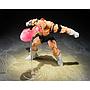 S.H.FIGUARTS RECOOME <THE NIGHTMARE RECOOME> TAMASHII NATIONS