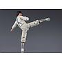 S.H.FIGUARTS DRAGON MA (PROJECT A) TAMASHII NATION