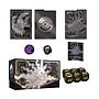 PITCH BLACK  ELITE TRAINER BOX INGLÉS POKEMON COMPANY