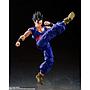 S.H.FIGUARTS ULTIMATE GOHAN SUPER HERO TAMASHII NATIONS