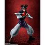 S.H.FIGUARTS CHOSO TAMASHII NATIONS