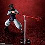 S.H.FIGUARTS CHOSO TAMASHII NATIONS
