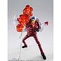S.H.FIGUARTS SAKAZUKI(AKAINU) -MARINEFORD- TAMASHII NATIONS