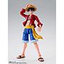 S.H.FIGUARTS MONKEY.D.LUFFY -TWO YEARS LATER- TAMASHII NATIONS