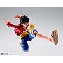 S.H.FIGUARTS MONKEY.D.LUFFY -TWO YEARS LATER- TAMASHII NATIONS