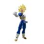 S.H.FIGUARTS SUPER SAIYAN VEGETA AWAKENED SUPER SAIYAN BLOOD  TAMASHII NATIONS